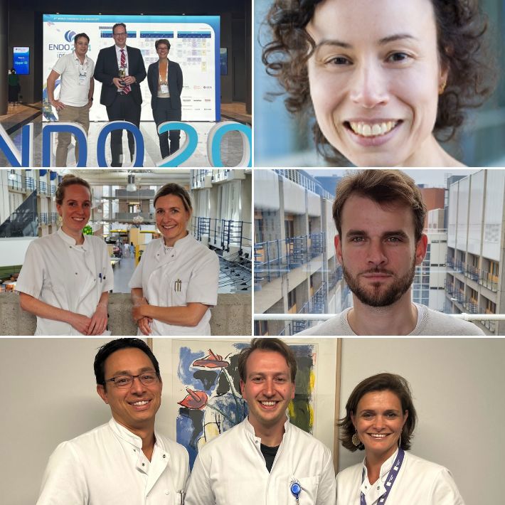 Collage van foto's uit het artikel